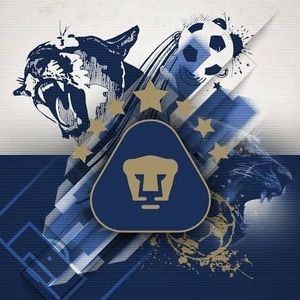 Meet your Posher, Sergio javier